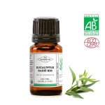 Huile essentielle d'eucalyptus radié BIO 10 ml (AB)