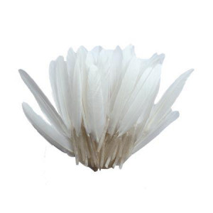 Plumes d'indien blanches 15 cm 10 g
