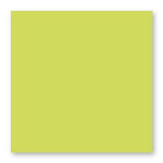 Carte faire part Pollen 210g 135 x 135mm par 25 - Vert Bourgeon