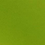 Calque couleur x 12f - Vert pomme - A4