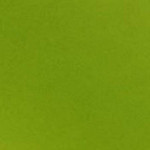 Calque couleur x 12f - Vert pomme - A4