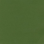 Papier Bazzill Toile 30,5 x 30,5 cm - 216 g/m² - Vert Ivy