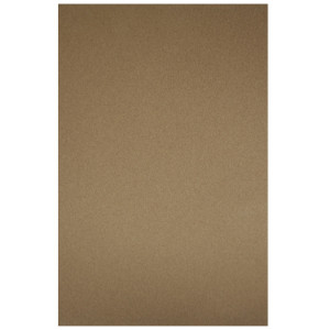Papier pastel Sennelier Pastel Card 50 x 65cm - 003 - Terre de Sienne brûlée