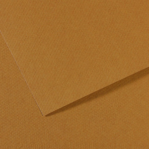 Papier Mi-Teintes 160g 75 x 110cm - 335 - Blanc